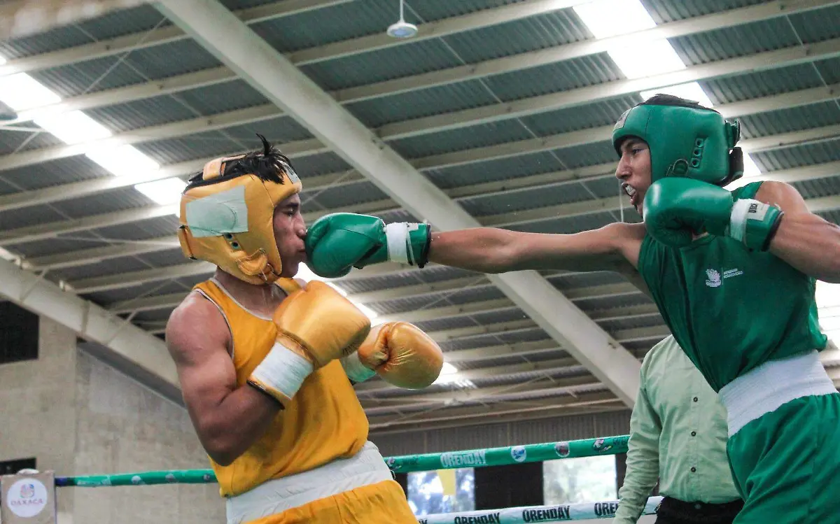 medallas boxeo 1